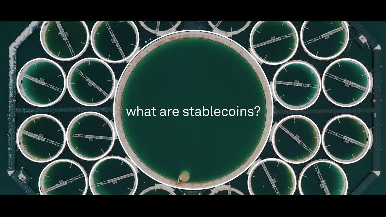 The Future Of Stablecoins Stability In A Volatile Market
