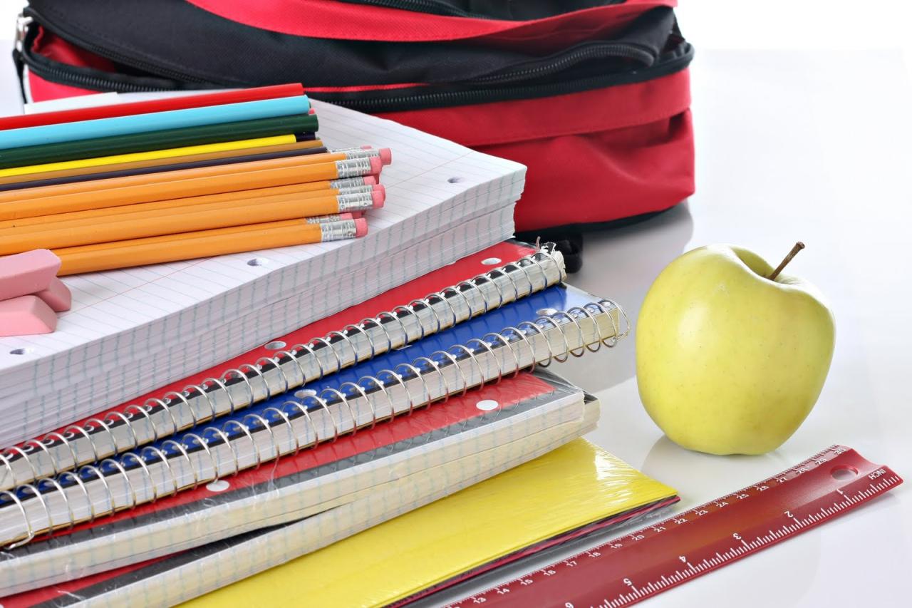 Best Online Stores to Buy Educational Supplies