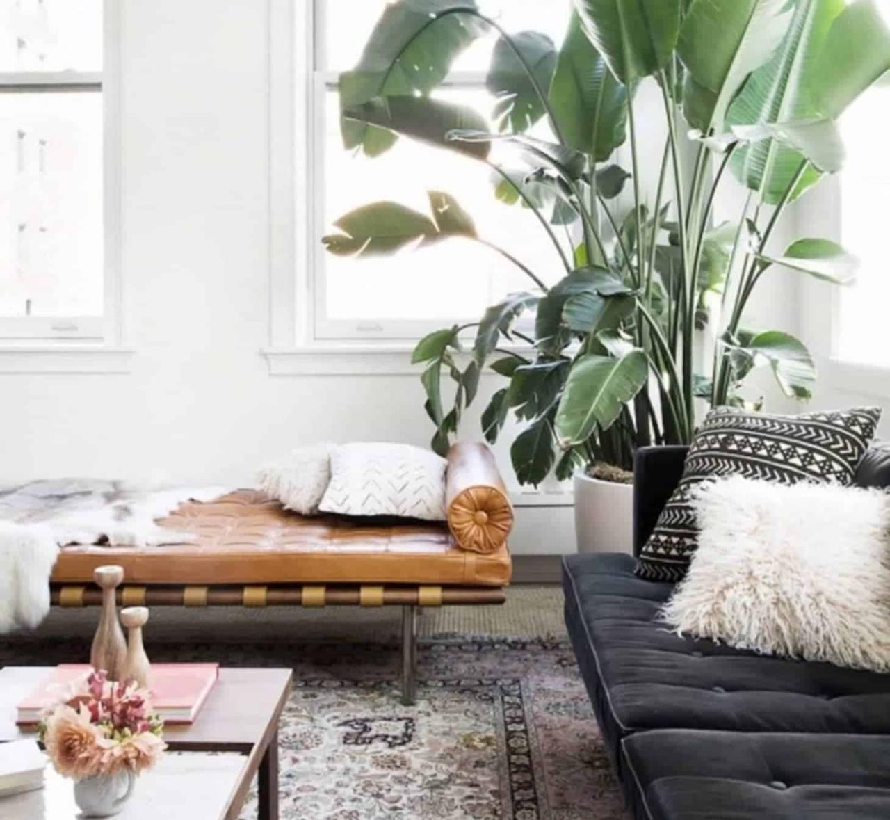 How to Choose the Perfect Indoor Plants for Your Home