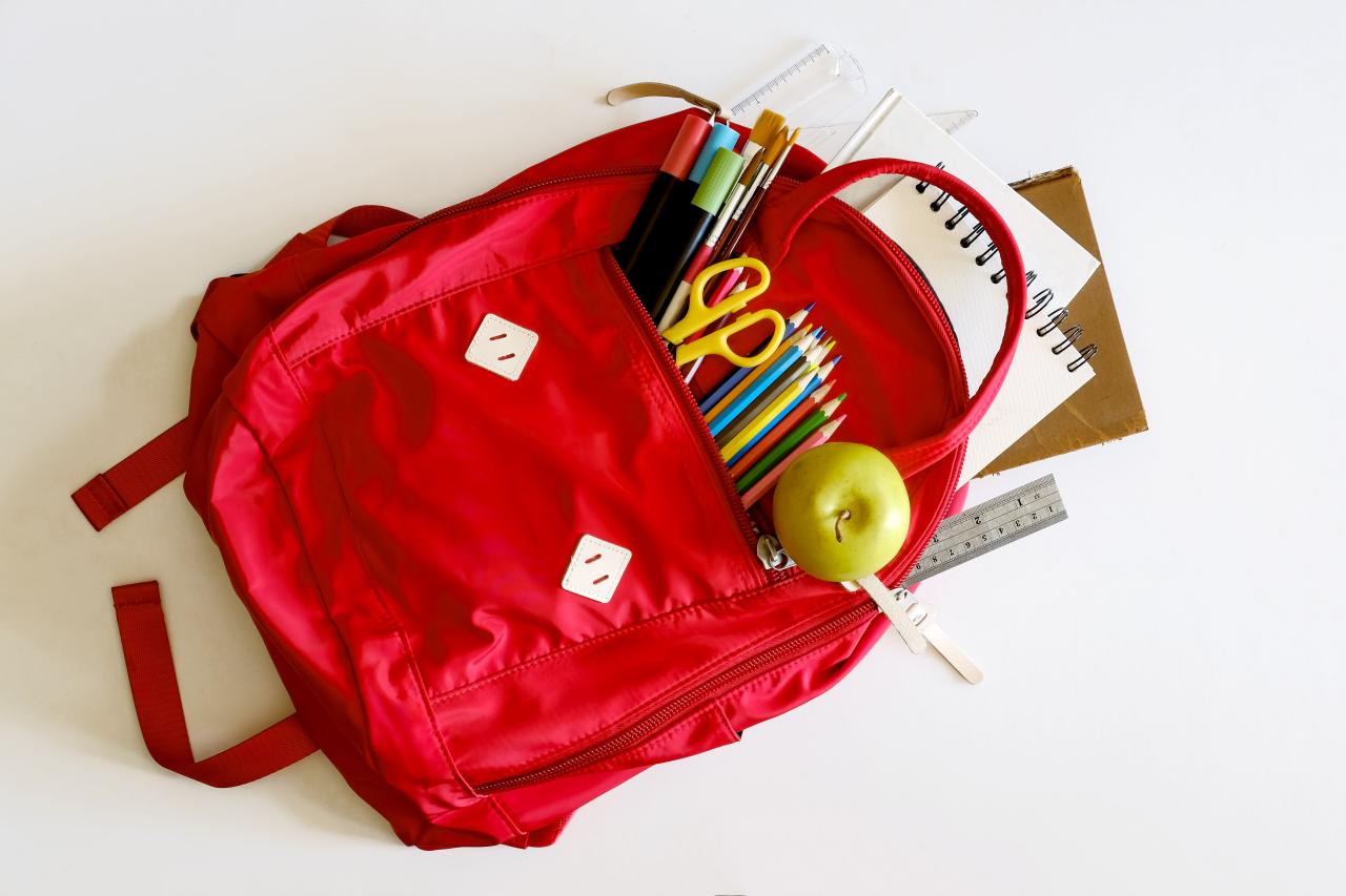 Tips for Buying the Right Backpack for Students
