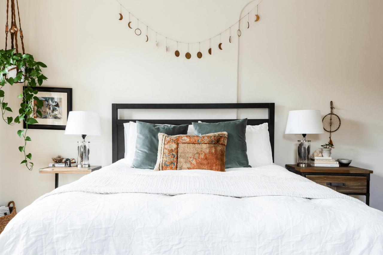 Decorating Your Home with Low Maintenance Plants