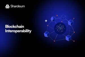 Blockchain Interoperability Connecting Different Networks