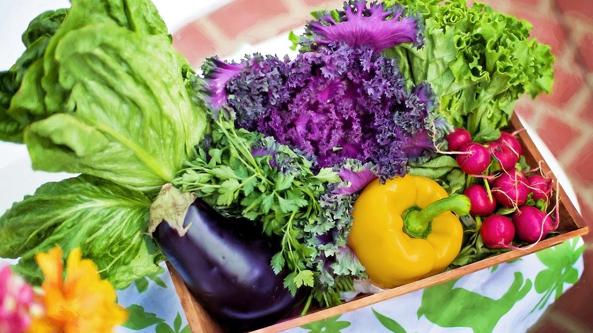 The Best Local Shops for Fresh and Organic Food Awaits